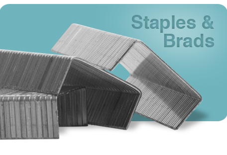 Staples & Brads